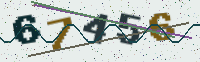 Security code image