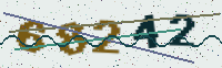 Security code image